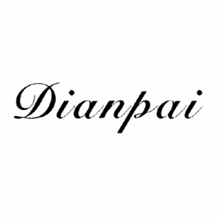 DIANPAI logo