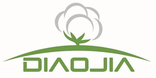 DIAOJIA logo