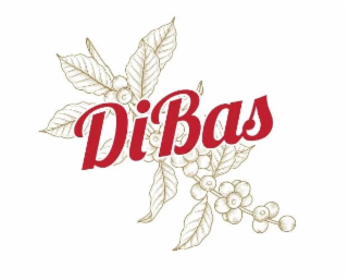 DIBAS logo