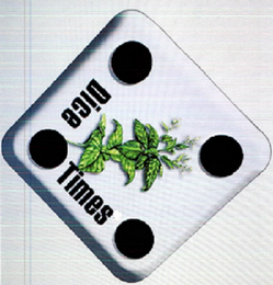 DICE TIMES logo