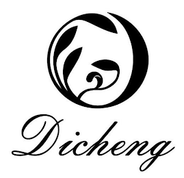 DICHENG logo
