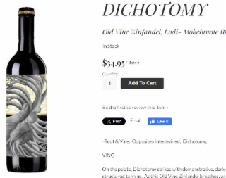 DICHOTOMY logo