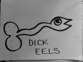 DICK EELS logo