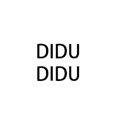 DIDU DIDU logo