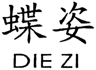 DIE ZI logo
