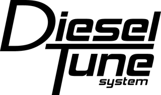 DIESEL TUNE SYSTEM logo
