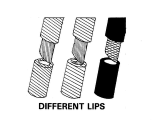 DIFFERENT LIPS logo