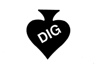 DIG logo
