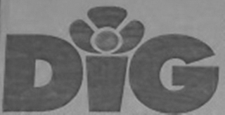 DIG logo