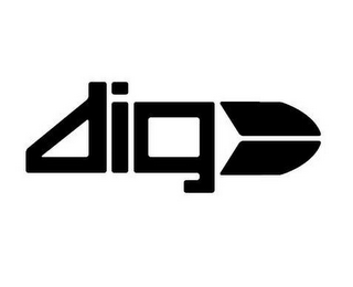 DIG logo