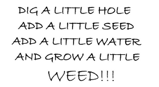 DIG A LITTLE HOLE ADD A LITTLE SEED ADD A LITTLE WATER AND GROW A LITTLE WEED!!! logo