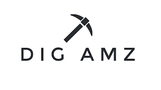 DIG AMZ logo