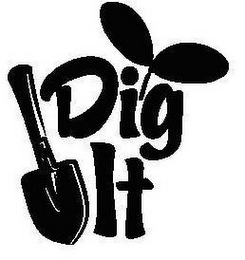 DIG IT logo