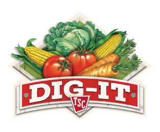DIG-IT TSC logo