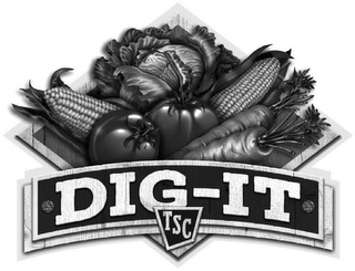 DIG-IT TSC logo