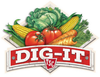 DIG-IT TSC logo