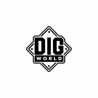 DIG WORLD