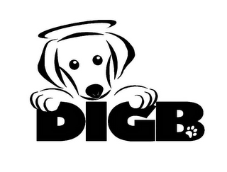 DIGB logo