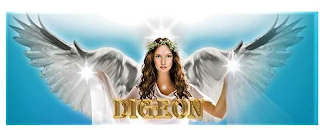 DIGEON logo
