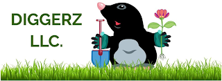 DIGGERZ LLC. logo