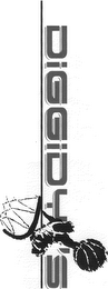 DIGGIDY'S logo
