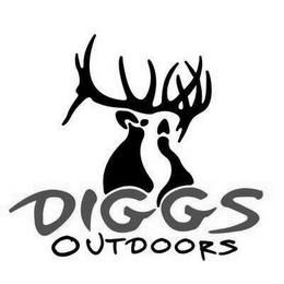 DIGGS OUTDOORS logo