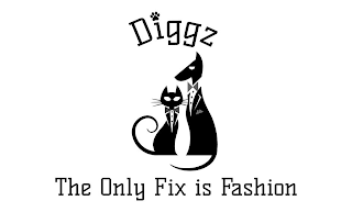 DIGGZ THE ONLY FIX IS FASHION logo