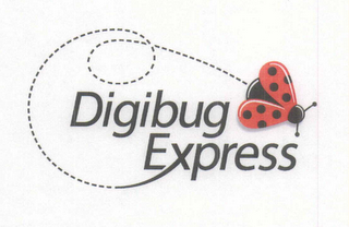 DIGIBUG EXPRESS logo