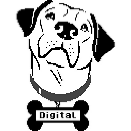 DIGITAL logo