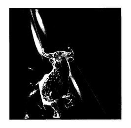 DIGITAL BULL logo