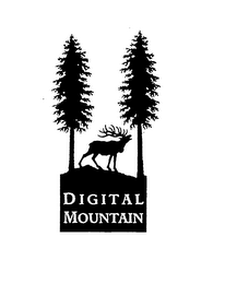 DIGITAL MOUNTAIN logo