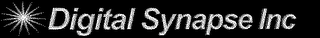 DIGITAL SYNAPSE INC logo