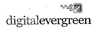 DIGITALEVERGREEN logo