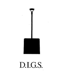 D.I.G.S. logo