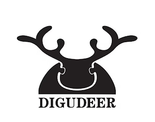DIGUDEER logo