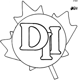 DII logo