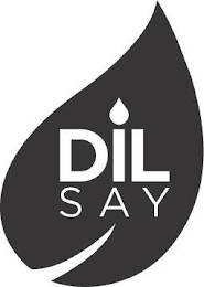 DIL SAY logo