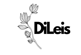 DILEIS logo