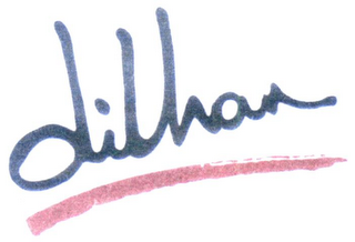DILHAN logo