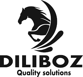 DILIBOZ QUALITY SOLUTIONS logo