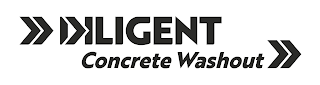DILIGENT CONCRETE WASHOUT logo