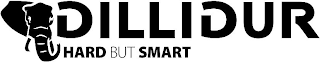 DILLIDUR HARD BUT SMART logo