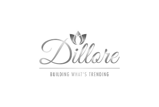 DILLORE BUILDING WHAT'S TRENDING logo