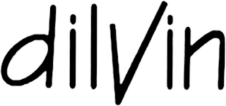 DILVIN logo