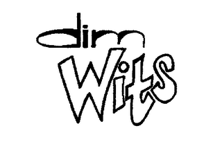 DIM WITS logo