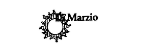 DIMARZIO logo
