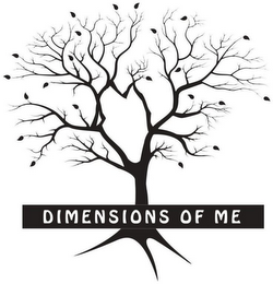 DIMENSIONS OF ME logo