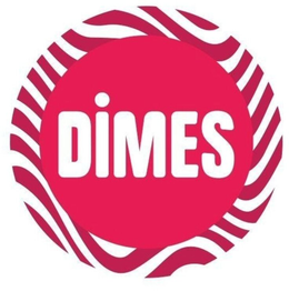 DIMES logo