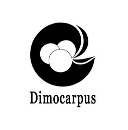DIMOCARPUS logo