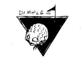 DIMPLES logo